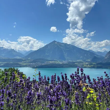 Amazing Views Cozy Retreat King Bed Aeschlen