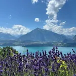 Amazing Views-cozy Retreat-king Bed Aeschlen