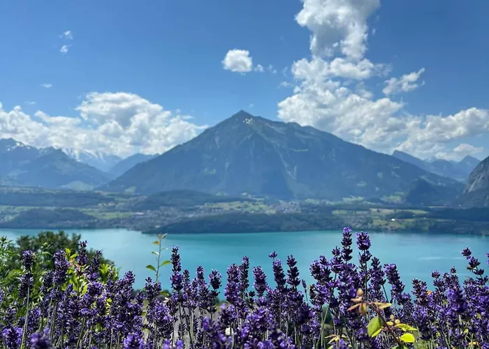 Amazing Views Cozy Retreat King Bed Aeschlen